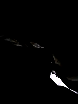 74bob online show from September 21, 4:25 am