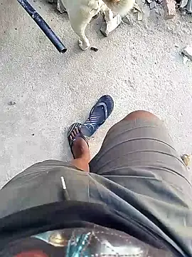 TitularAdaption online show from February 19, 6:53 am