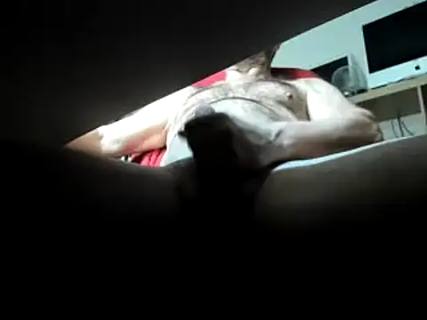 Snapshot of leccaleccafiga chatting on March 1, 3:49 pm leccaleccafiga online show from March 1, 3:49 pm