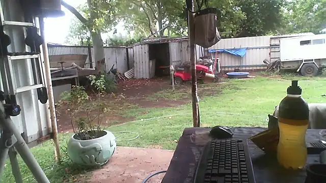 herbie010666 online show from December 23, 3:15 am