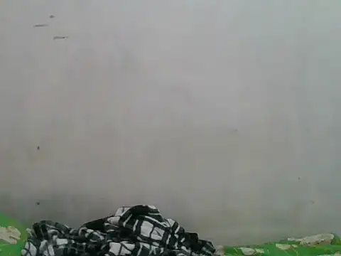 simplewild mom online show from September 18, 12:34 am