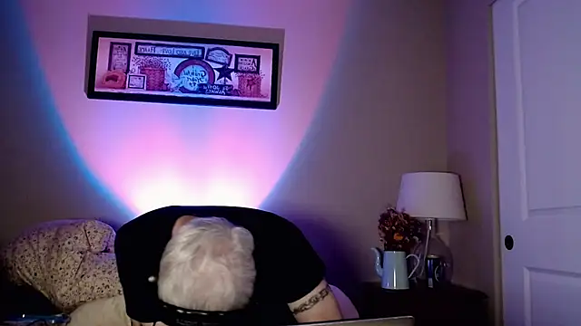 Snapshot of Snarfle82 chatting on November 17, 6:52 am Snarfle82 online show from November 17, 6:52 am