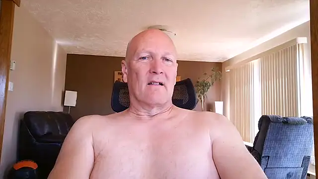 BasicAnt online show from May 23, 2:43 pm