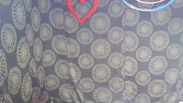 Snapshot of LunaRai chatting on February 6, 3:11 am LunaRai online show from February 6, 3:11 am