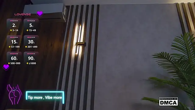 Snapshot of Holl1Would chatting on February 2, 10:17 pm Holl1Would online show from February 2, 10:17 pm