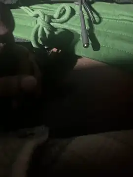 dingoding online show from January 11, 11:34 am