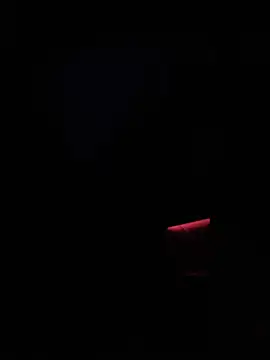 dingoding online show from January 14, 2:50 am