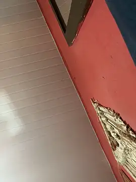 Snapshot of pimenta_gaby chatting on October 18, 1:01 pm pimenta gaby online show from October 18, 1:01 pm