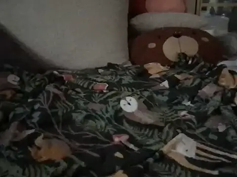 Snapshot of Perwers_41 chatting on November 2, 2:19 pm Perwers 41 online show from November 2, 2:19 pm