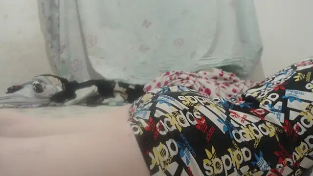 Snapshot of Kittywhiteass chatting on March 16, 11:57 pm Kittywhiteass online show from March 16, 11:57 pm