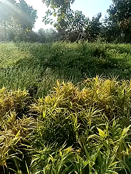 Snapshot of Desi_Rider_Aadi chatting on December 30, 3:47 am Desi Rider Aadi online show from December 30, 3:47 am