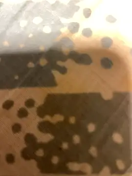 Snapshot of fep84 chatting on March 22, 4:49 am fep84 online show from March 22, 4:49 am