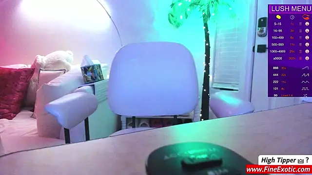 Snapshot of Vesaaa chatting on December 21, 8:07 am Vesaaa online show from December 21, 8:07 am