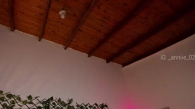 annie barozzi online show from January 16, 1:36 pm