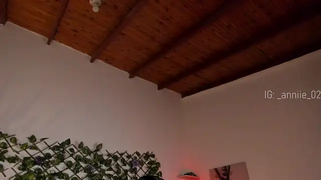 annie barozzi online show from January 21, 1:32 pm