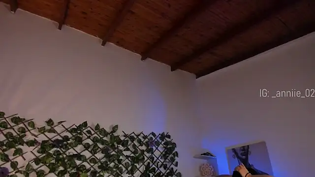 annie barozzi online show from January 24, 1:36 pm