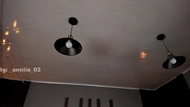 annie barozzi online show from February 24, 1:42 pm