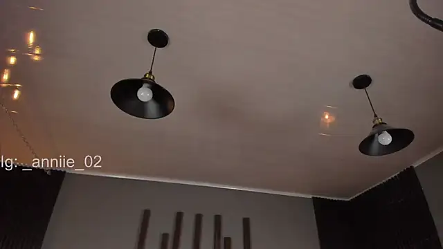 annie barozzi online show from March 3, 1:42 pm