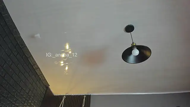 annie barozzi online show from November 27, 1:24 pm