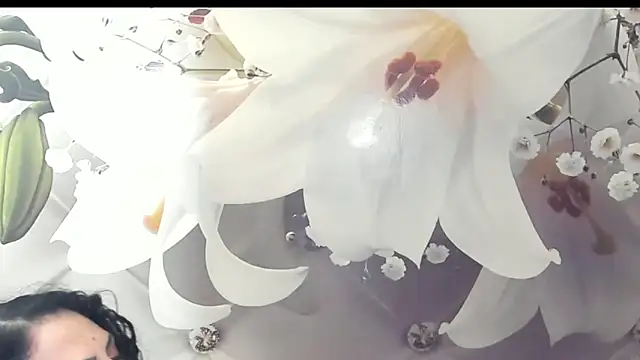 SweetArtemis online show from February 23, 11:04 pm