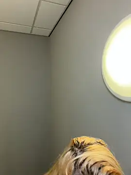 Snapshot of Strongqueen chatting on February 13, 6:15 pm Strongqueen online show from February 13, 6:15 pm