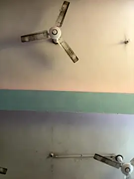 sum6255 online show from January 7, 11:12 am