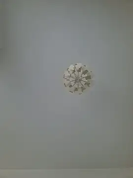 cuci45 online show from February 20, 8:38 am