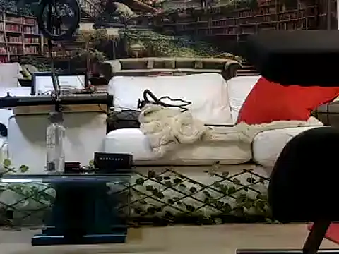 OSIRlS online show from January 6, 1:30 pm