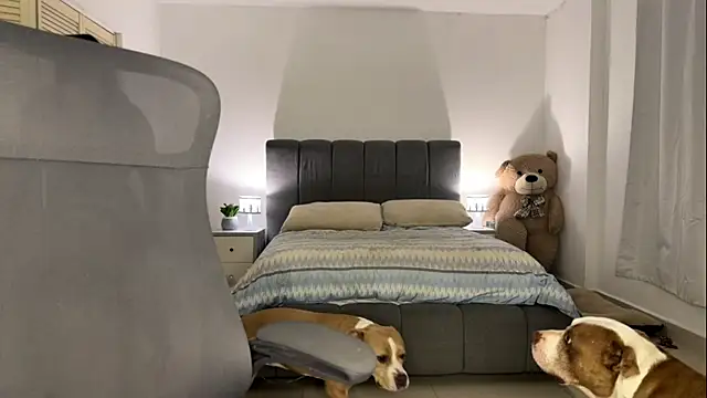 nurbanu hatem online show from February 13, 8:43 am