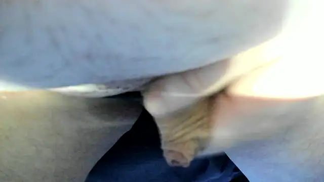 Snapshot of Big_Andiy chatting on September 12, 2:33 am Big Andiy online show from September 12, 2:33 am