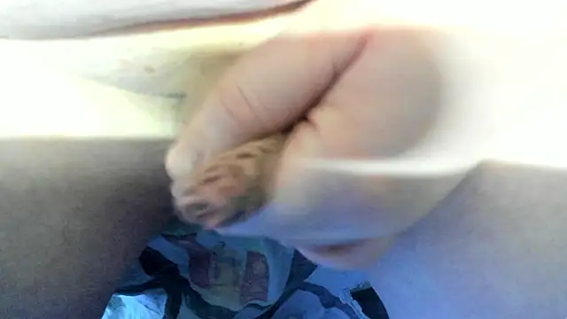 Snapshot of Big_Andiy chatting on December 19, 4:19 am Big Andiy online show from December 19, 4:19 am