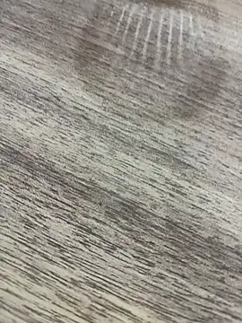 bulpof online show from April 1, 5:32 pm