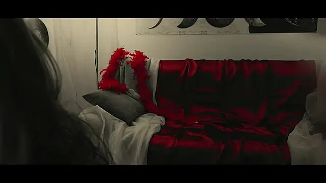 WebCora online show from January 17, 6:02 pm