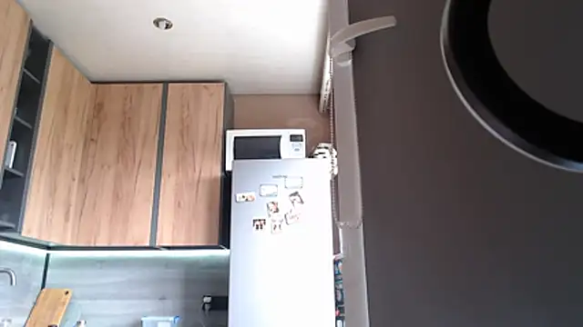 Snapshot of delightful_sofi chatting on July 28, 12:48 pm delightful sofi online show from July 28, 12:48 pm