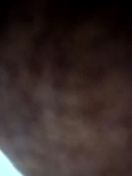 Lent Medium online show from November 12, 5:46 pm