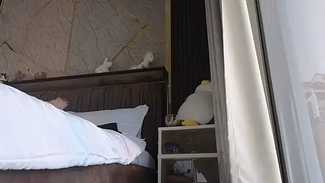 Snapshot of Allys chatting on February 19, 7:50 am Allys online show from February 19, 7:50 am