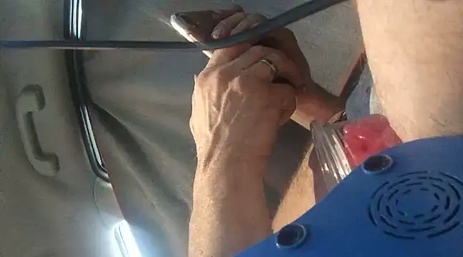 Likewise online show from December 29, 5:01 pm