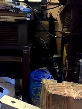 Likewise online show from October 19, 5:46 pm