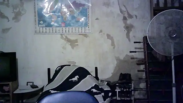 Snapshot of Emv2 chatting on November 26, 4:57 am Emv2 online show from November 26, 4:57 am