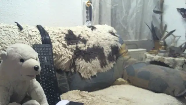 Snapshot of SexySantaC chatting on December 16, 9:09 pm SexySantaC online show from December 16, 9:09 pm