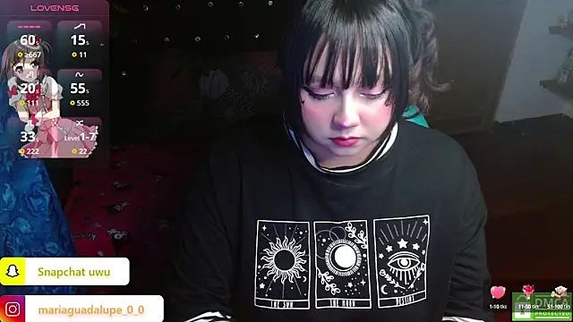 litlle cat online show from September 23, 7:00 am