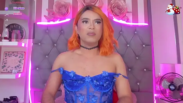 Snapshot of Star-Fire chatting on November 14, 8:51 pm Star-Fire online show from November 14, 8:51 pm