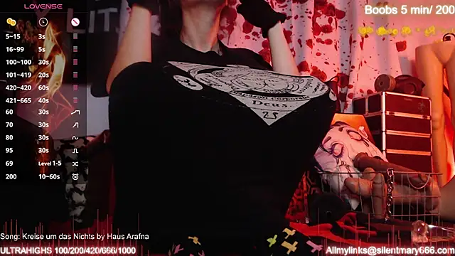 Silentmary online show from October 27, 9:02 am