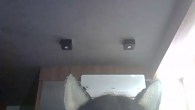 Skinny-Kitten online show from March 14, 9:26 am