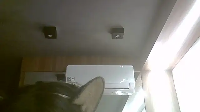 Skinny-Kitten online show from June 17, 3:46 pm