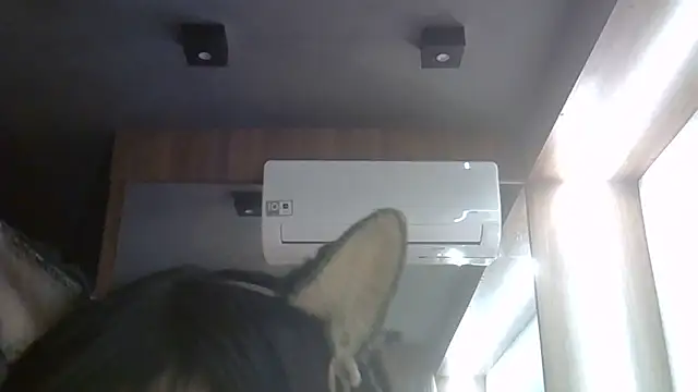 Skinny-Kitten online show from June 27, 5:23 am