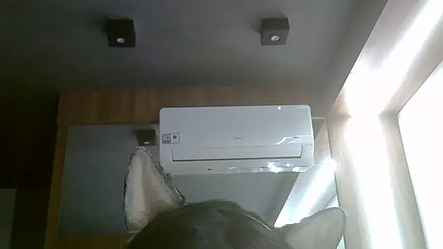 Skinny-Kitten online show from July 5, 6:04 pm
