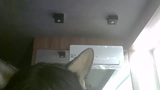 Skinny-Kitten online show from July 6, 5:37 pm