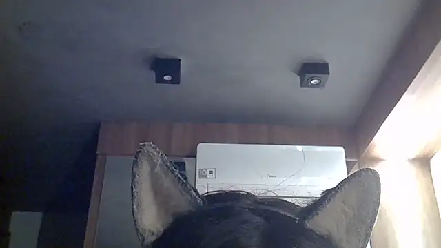 Skinny-Kitten online show from July 12, 7:43 am