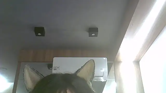Skinny-Kitten online show from July 17, 11:53 pm